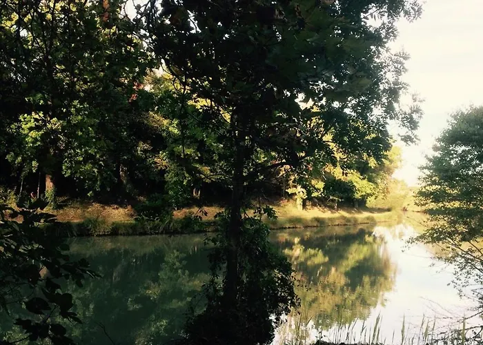 Σπίτι διακοπών Les Bellevue Cite Trivalle 