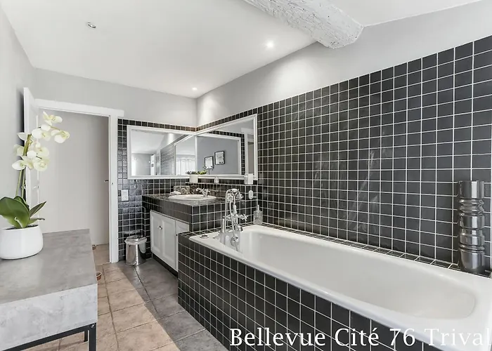 Les Bellevue Cite Trivalle 