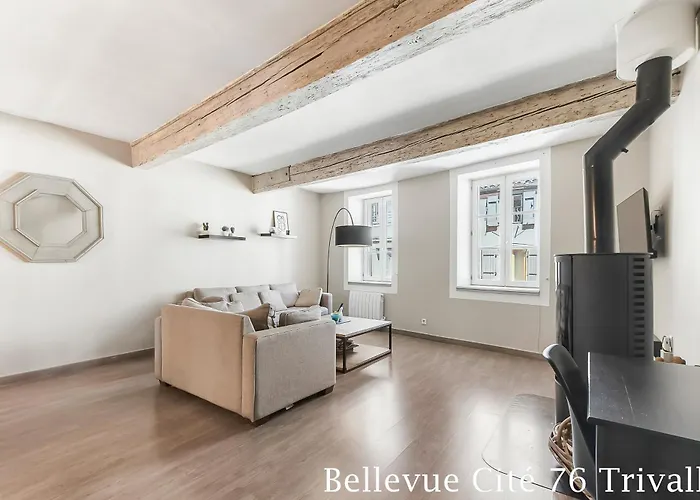 Σπίτι διακοπών Les Bellevue Cite Trivalle 